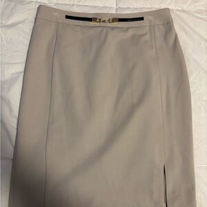 Express Beige Pencil Skirt with Gold Detail